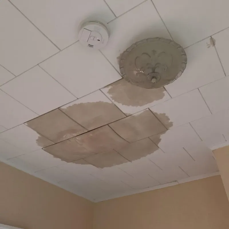 Ceiling Water Damage Repair in Malvern, OH